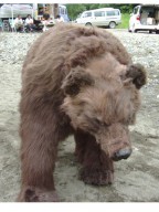 27 607 (2016-03-29 11:02:51) ひぐま 着ぐるみ 製作