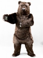 27 1273 (2018-08-30 22:11:30) リアルクマ 着ぐるみ 製作