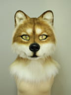 コヨーテマスク 着ぐるみ 製作