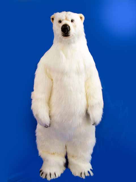 北極熊 着ぐるみ 製作